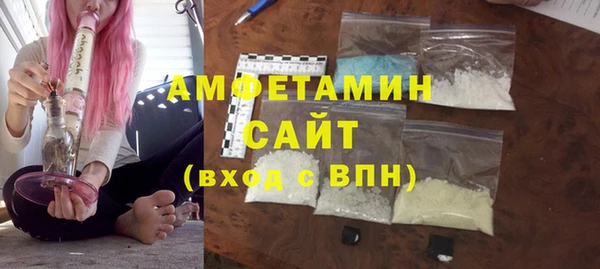 шишки Беломорск