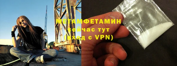 шишки Беломорск
