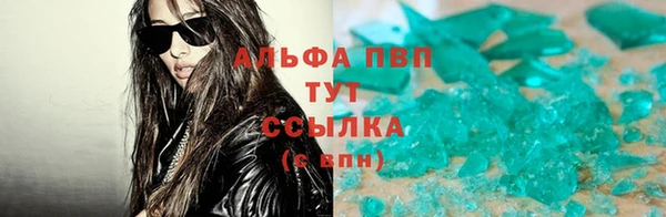 шишки Беломорск
