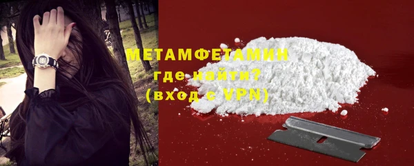 шишки Беломорск