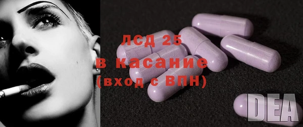 шишки Беломорск