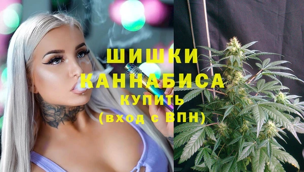 каннабис Белокуриха