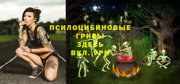 шишки Беломорск