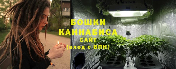 шишки Беломорск