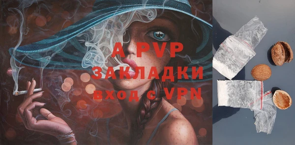 шишки Беломорск