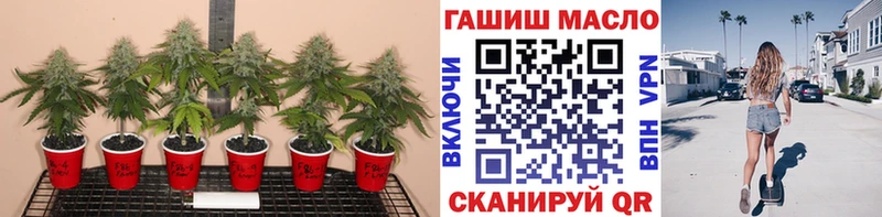 нарко площадка клад  Нестеровская  Дистиллят ТГК Wax  где купить  