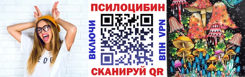 купить наркотик  гидра маркетплейс  Псилоцибиновые грибы GOLDEN TEACHER  Нестеровская 